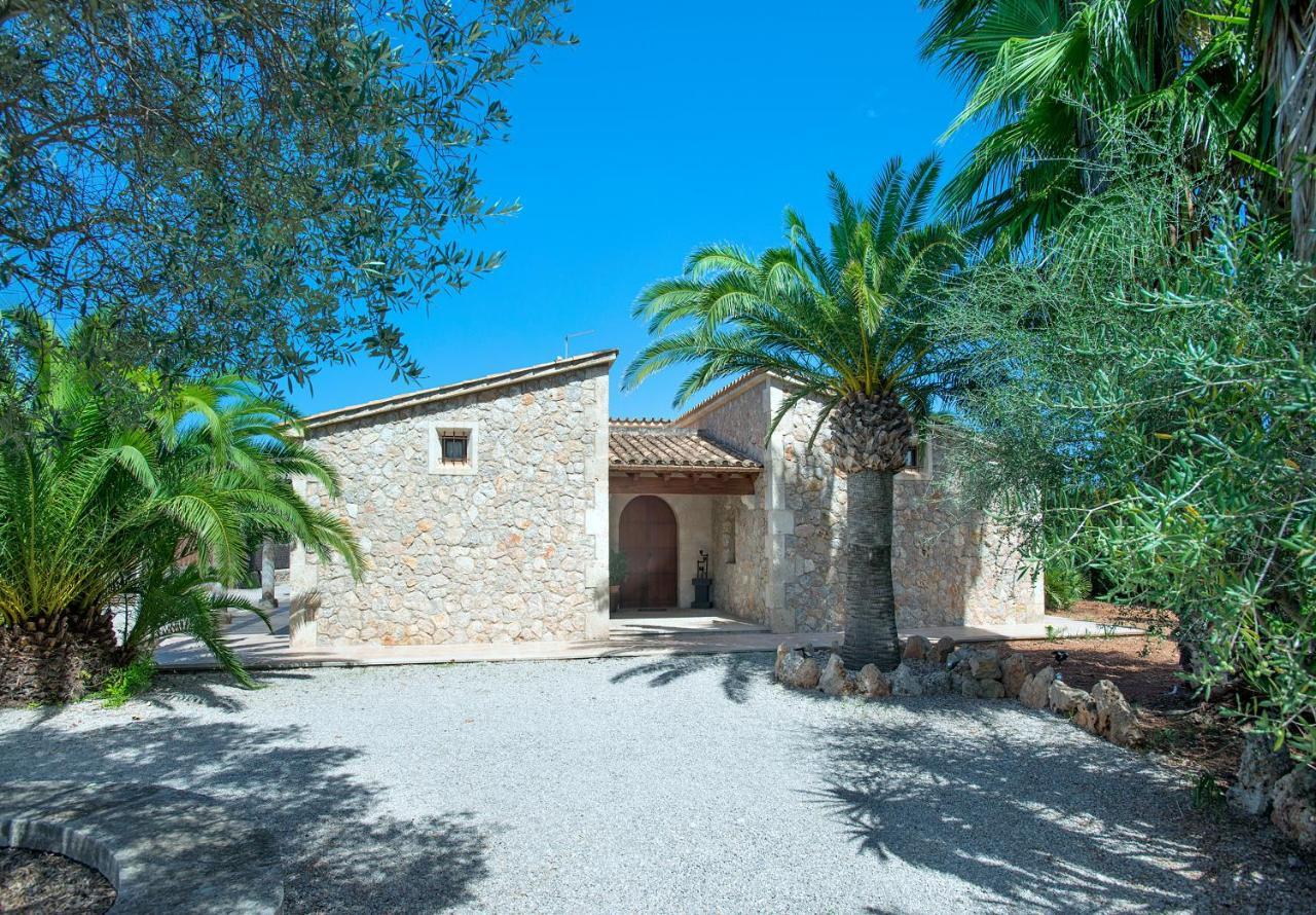Owl Pou - Luxury Holidays In Royal Gardens Villa *