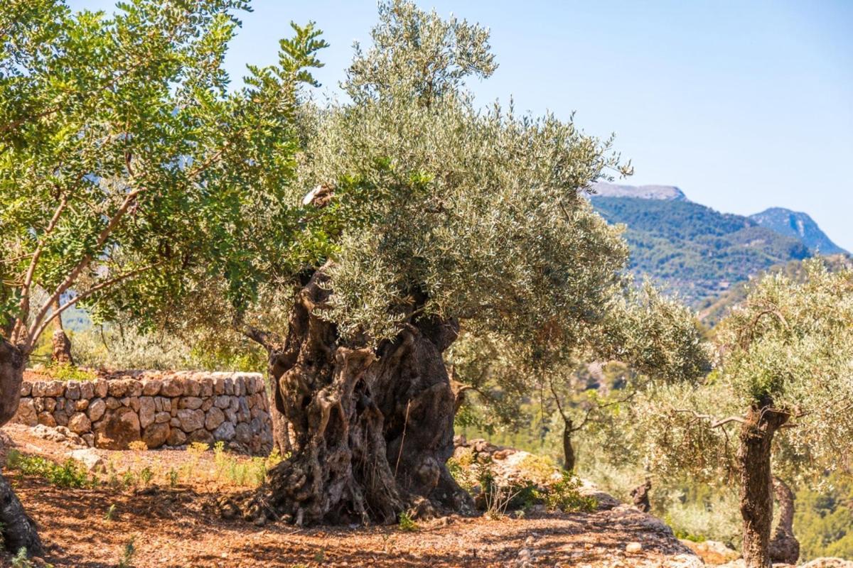 Rural Es Pujol Holiday home