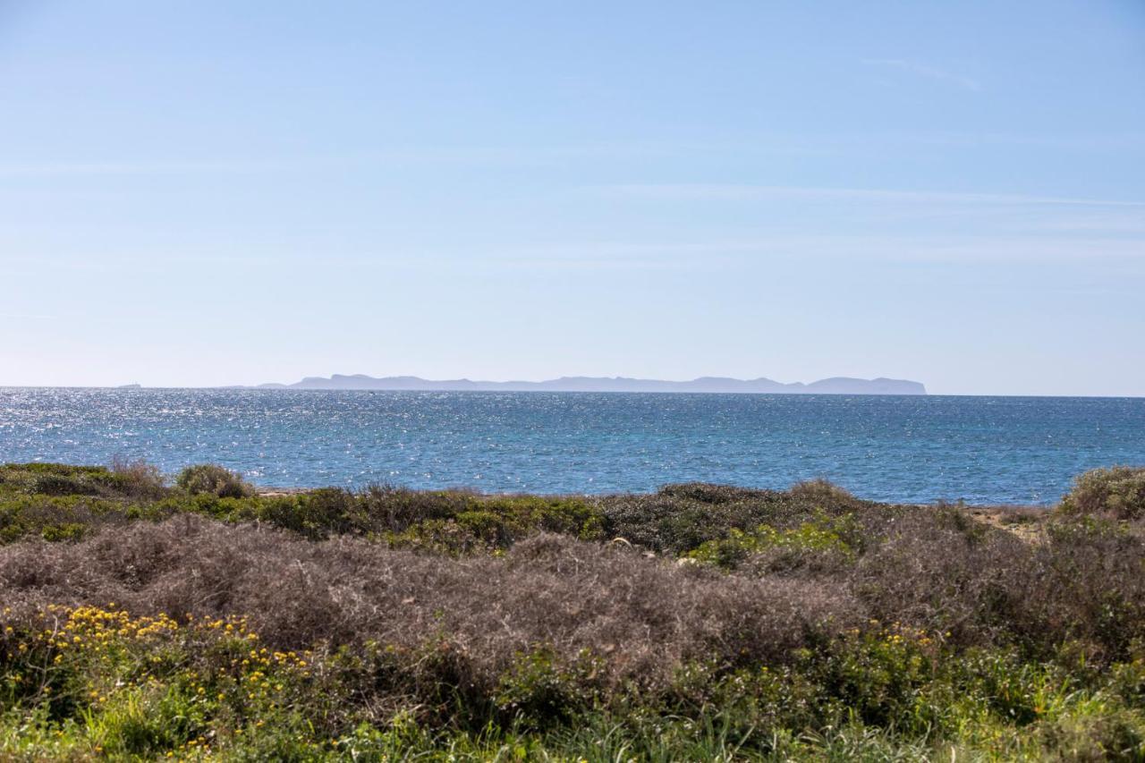 Holiday home View - Grupo Berna Sa Rapita