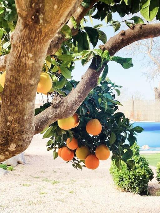 La Gardana, Casa De Campo Mallorquina * Porreras
