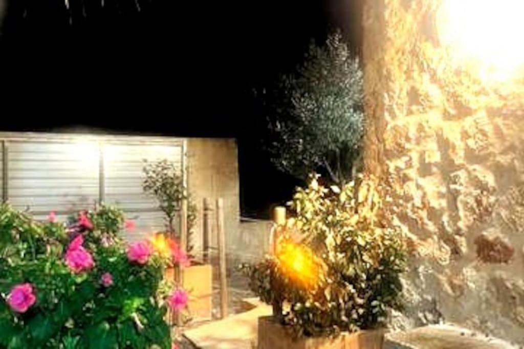 La Gardana, Casa De Campo Mallorquina Сasa de vacaciones Porreras