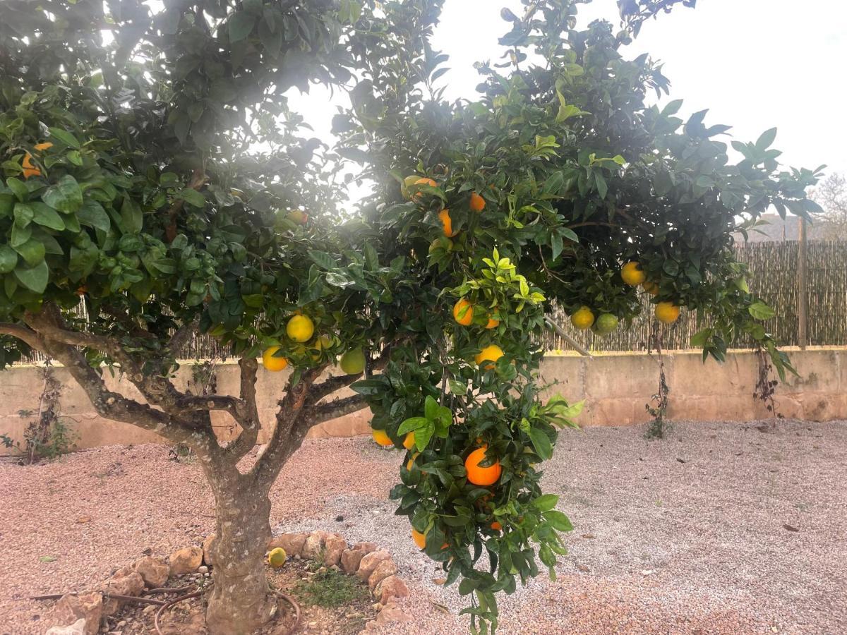 La Gardana, Casa De Campo Mallorquina Porreras
