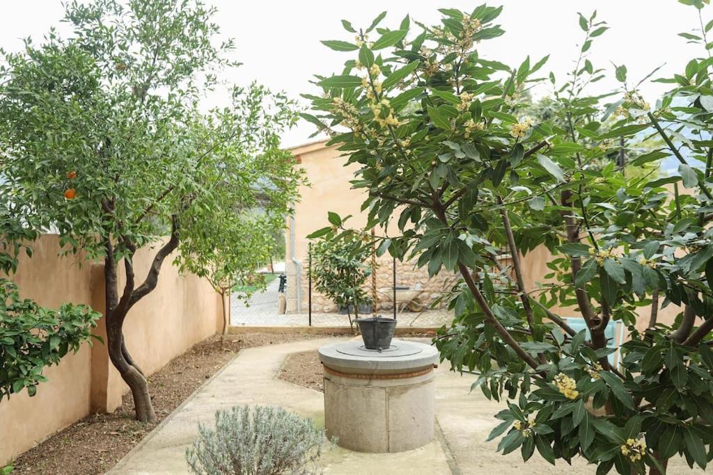 Ca'n Pipeta Villa *