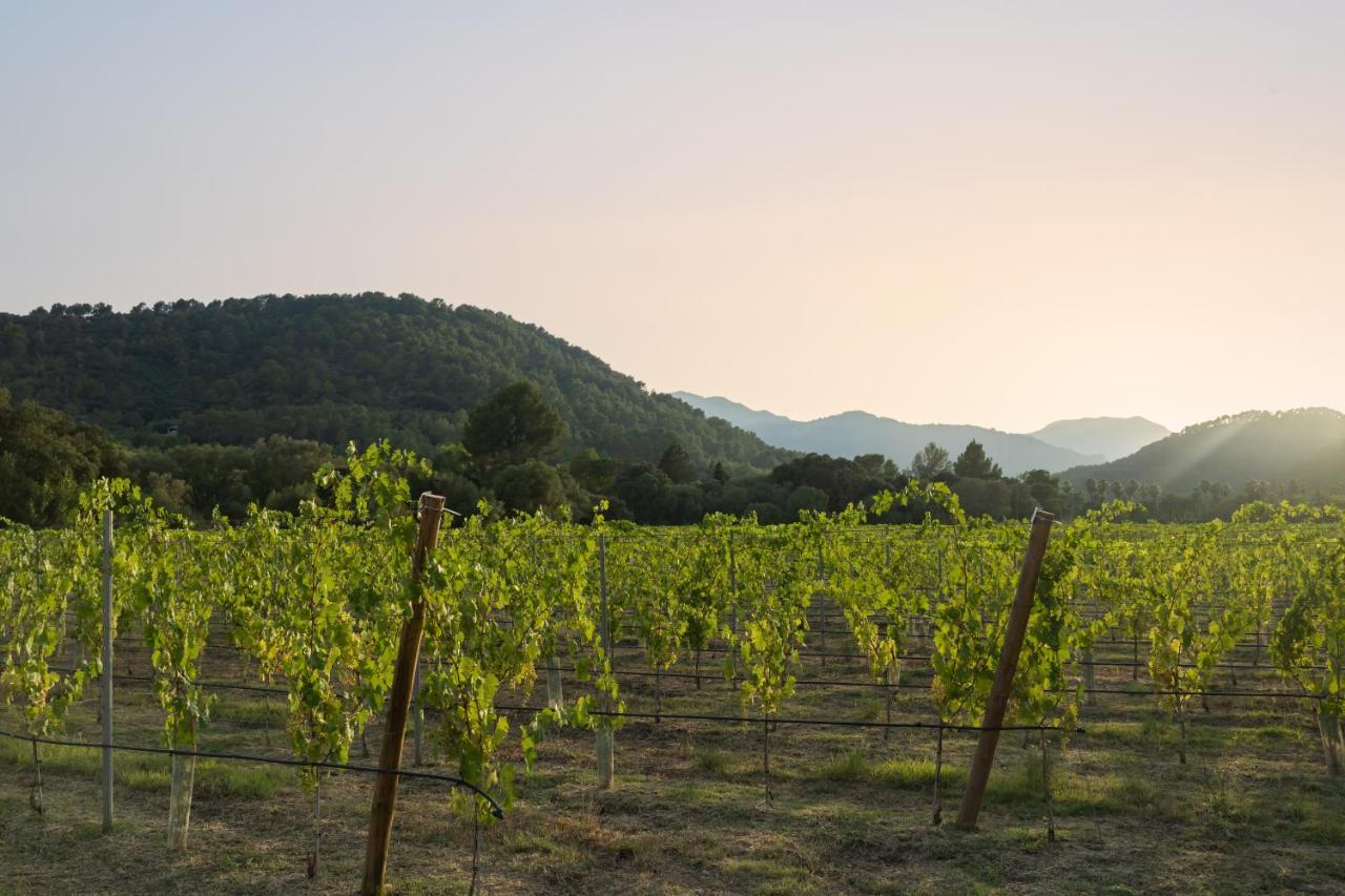 Rondaia, A Winery & Fincahotel-agroturismo In Tramuntana Hotel