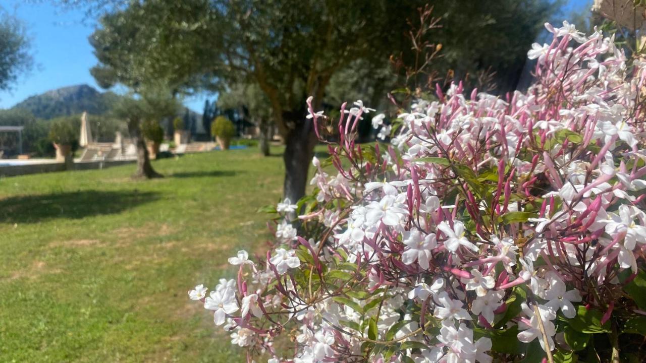 Agroturismo Son Cardaix