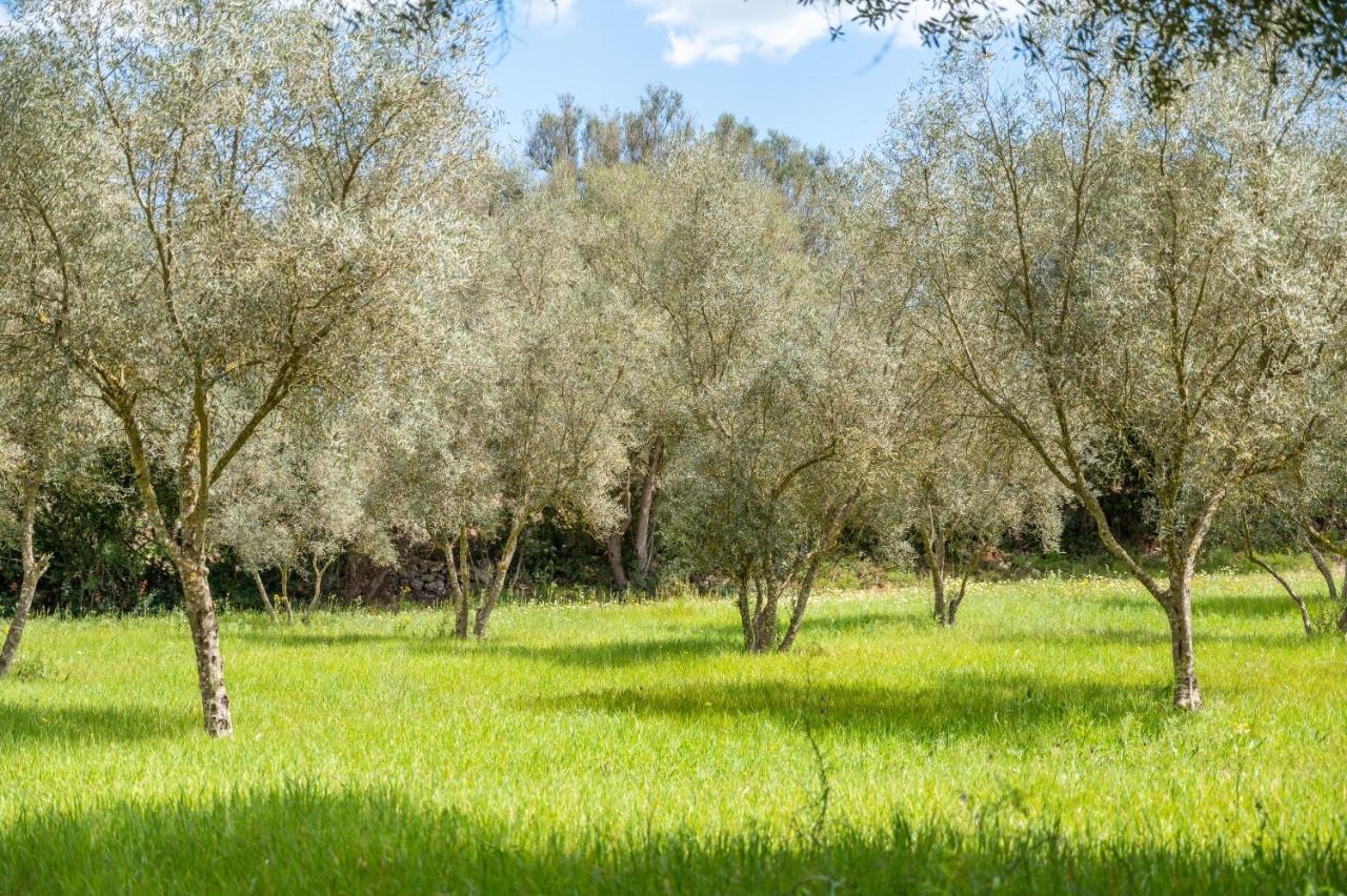 Casa Groc Сasa de vacaciones