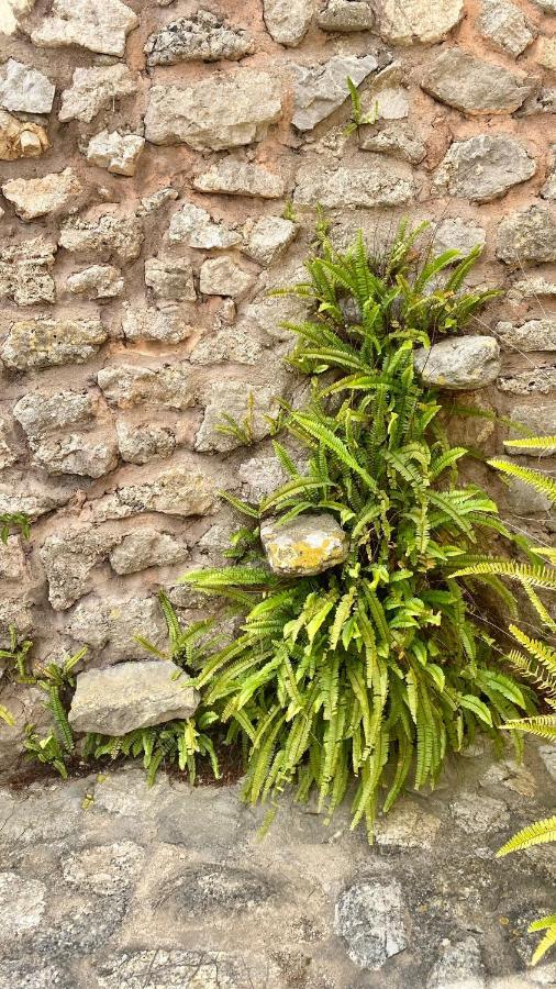 Agroturismo Son Cardaix Artà