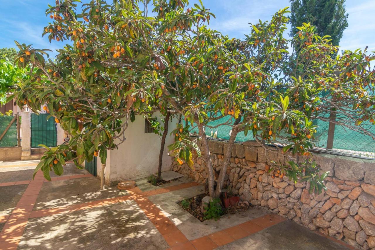 Villa Son Blau