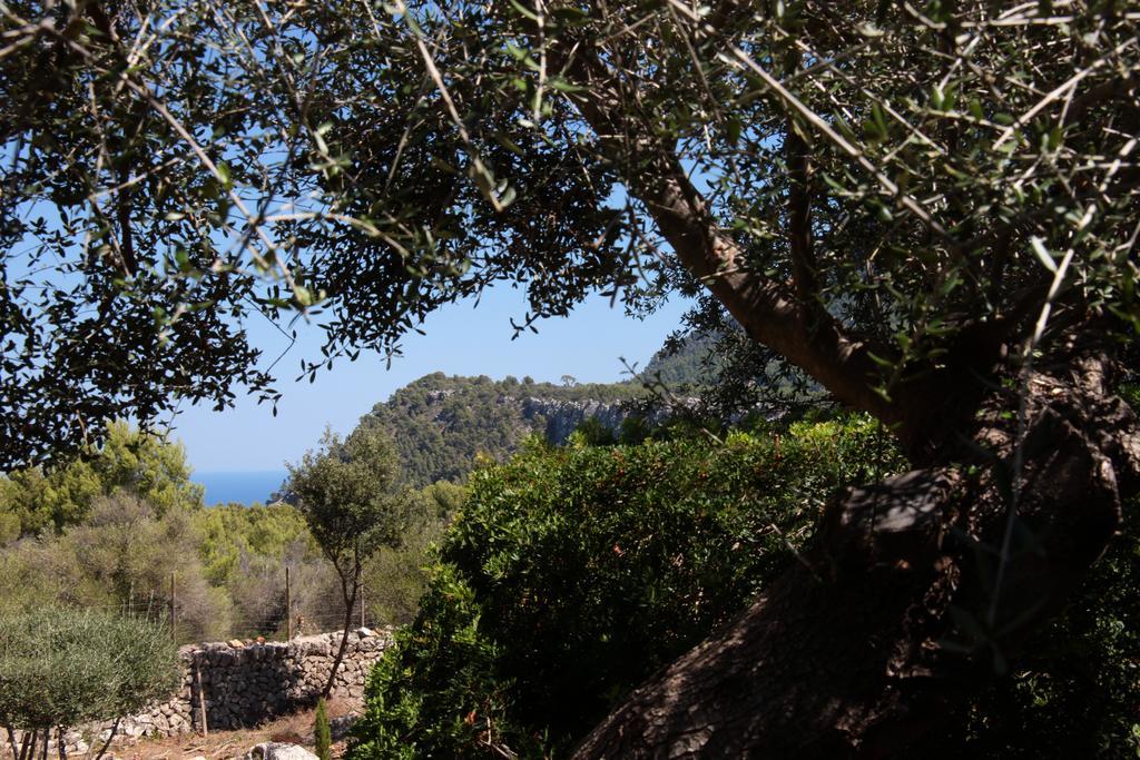 Cases De Ca's Garriguer Agroturismo Valldemossa (Mallorca)