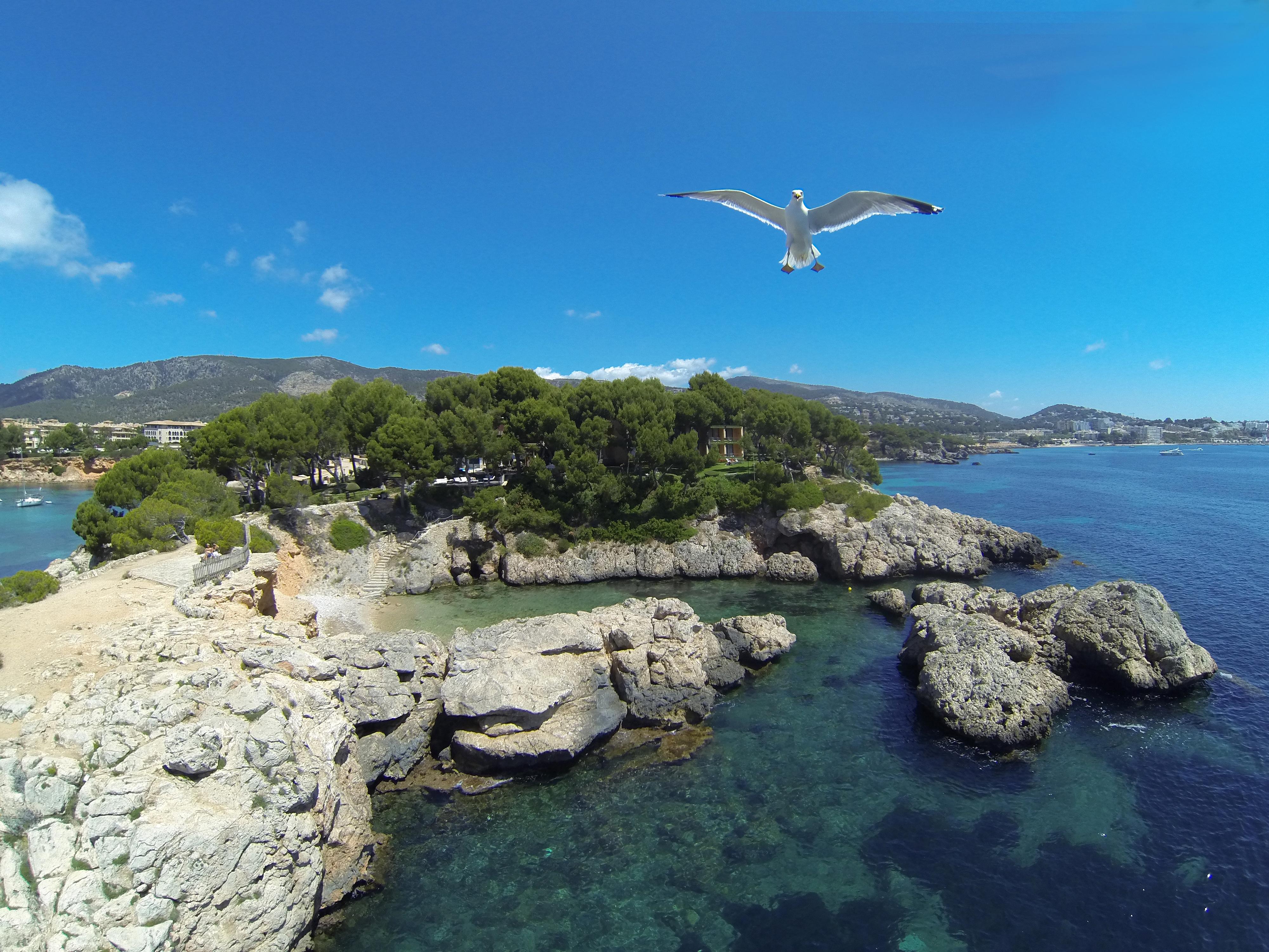 Hotel Boutique H10 Punta Negra 4*