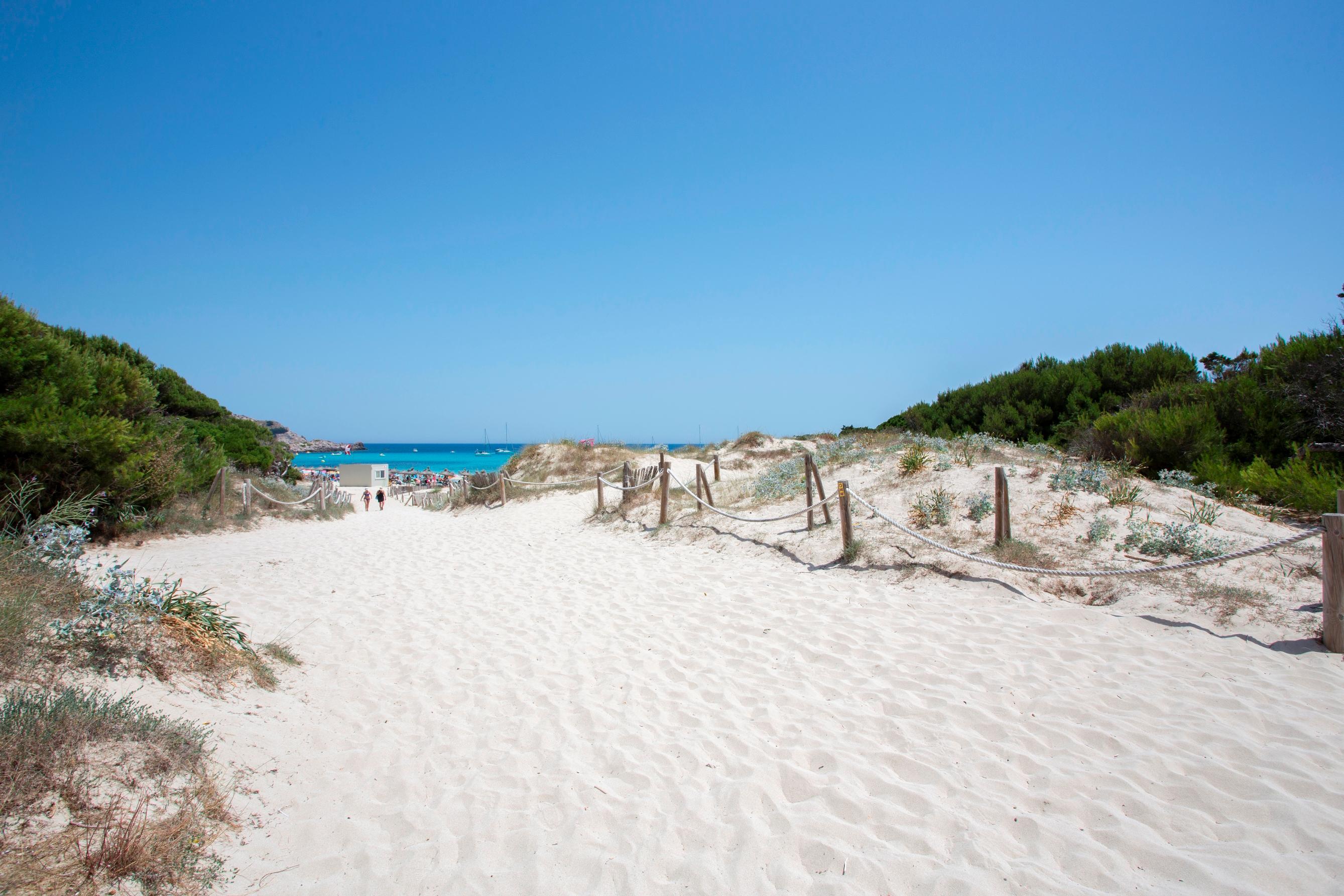 Guya Wave (adults Only) 3*