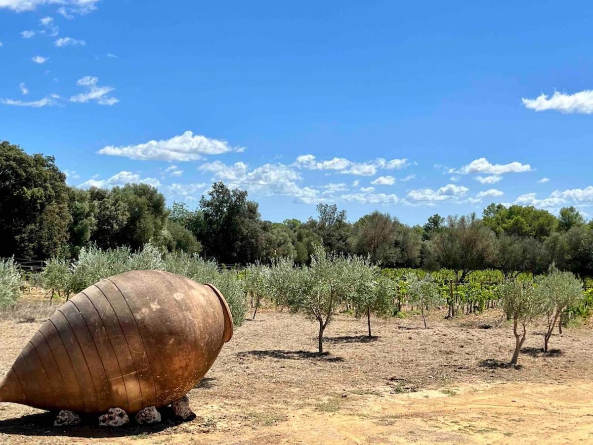 Dos Caballeros Winery & Vacation *