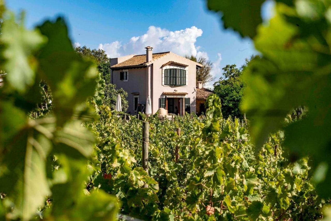 Dos Caballeros Winery & Vacation * Llubi