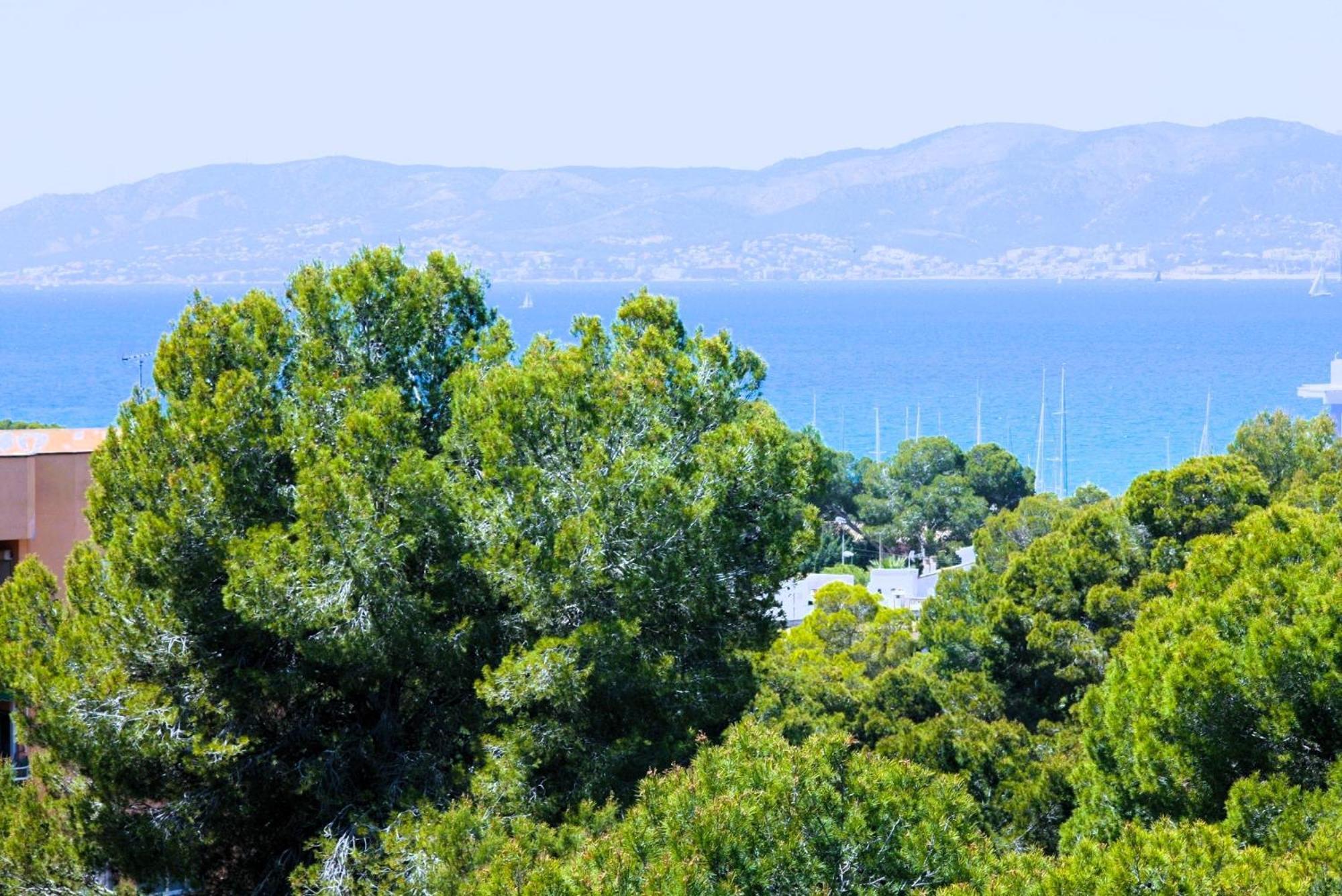 Welikehotel Fenix El Arenal (Mallorca)