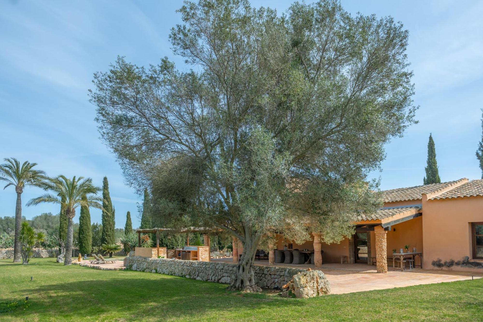 Son Mut Holiday home