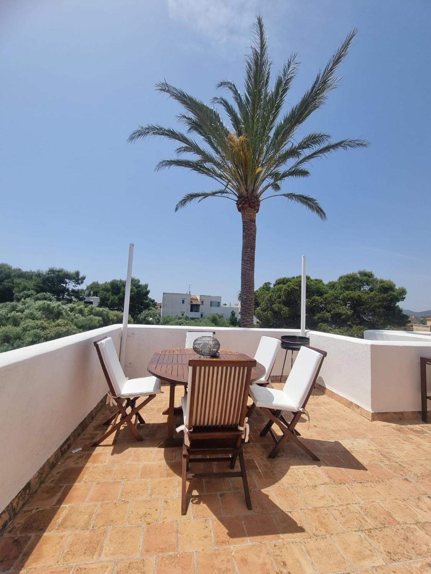 Rotonda Apartamento Fenalitx (Fenalich)