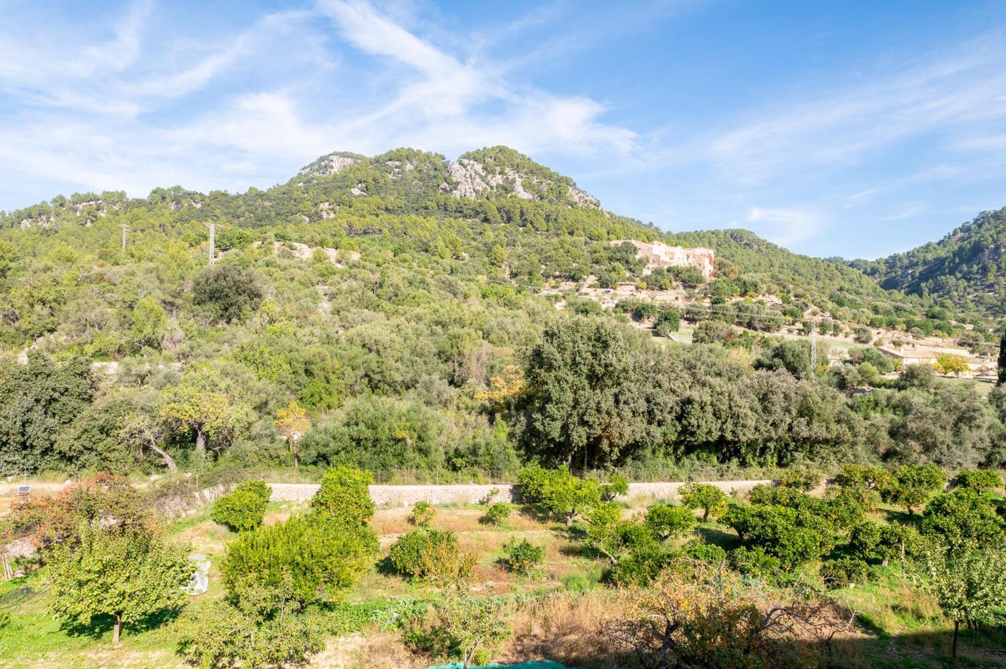 Agroturismo Filicumis Lloseta