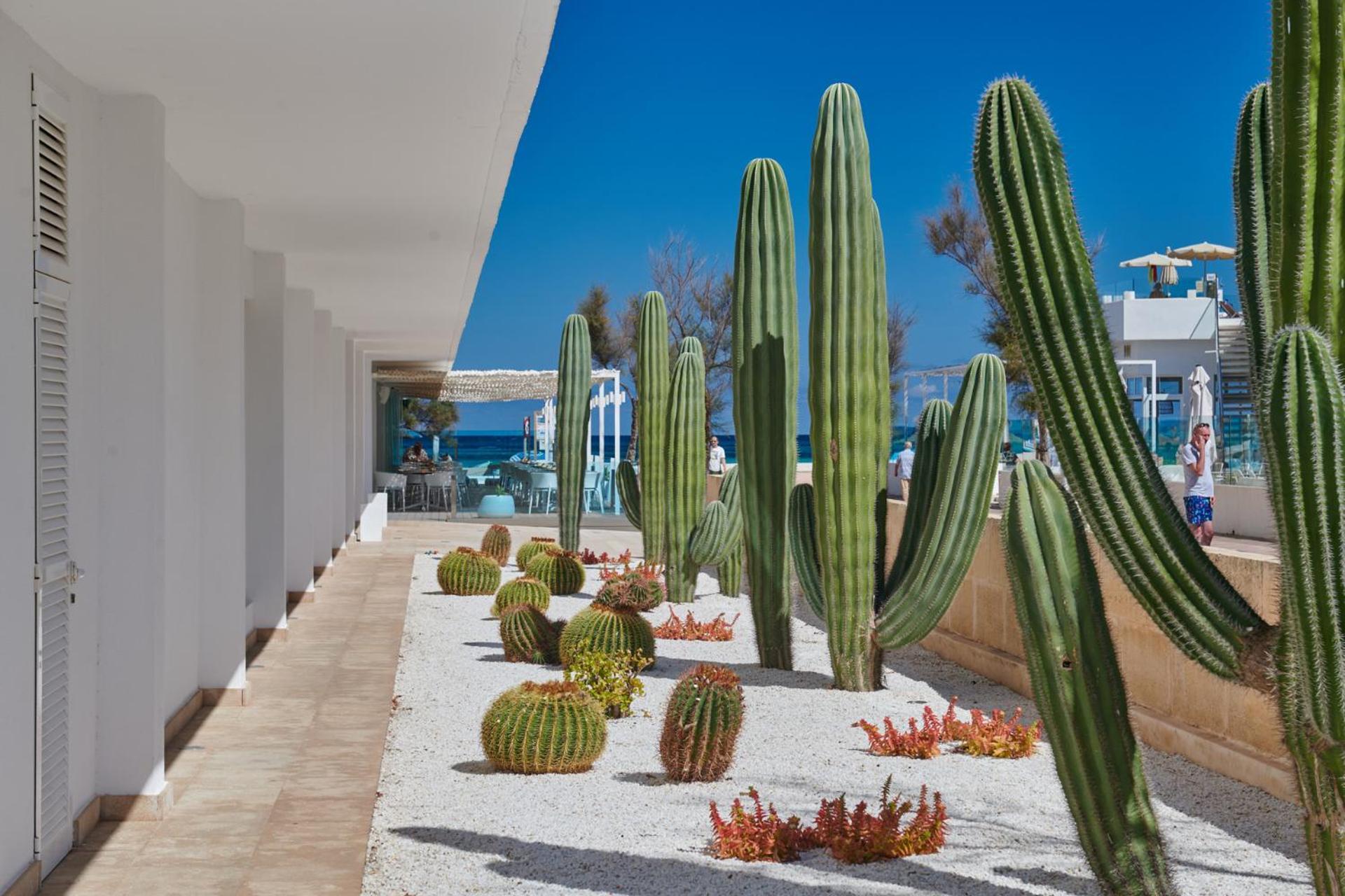 The Sea By Grupotel - Adults Only Hotel 4*