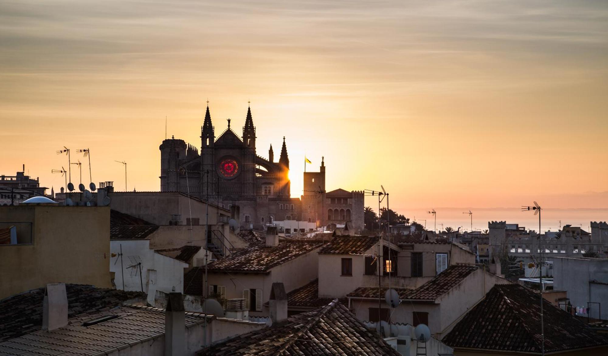 Amic Horizonte