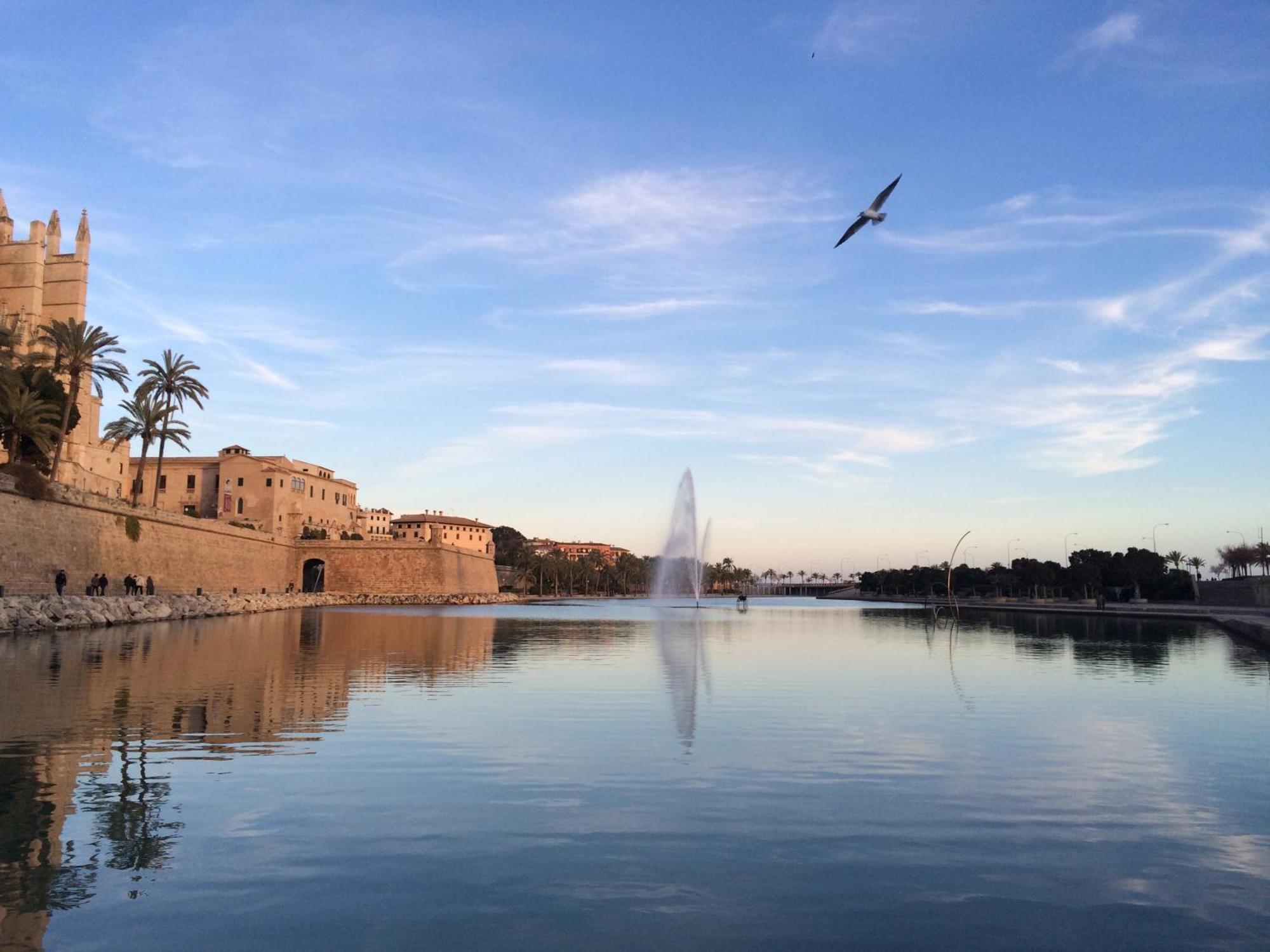 Amic Horizonte Palma de Mallorca