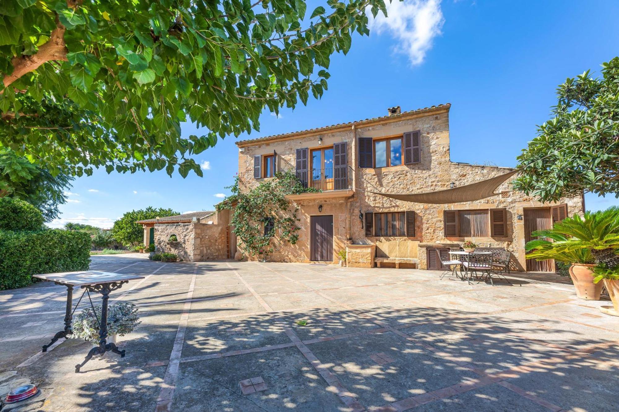 Yupihome Son Ramon Llull