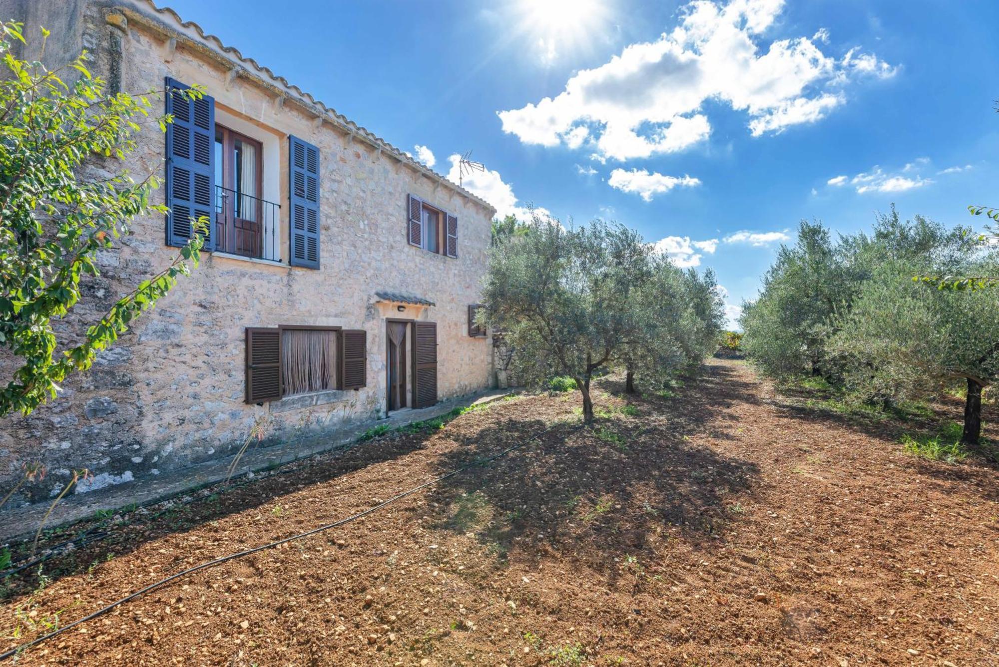 Yupihome Son Ramon Llull Villa Manacor (Mallorca)
