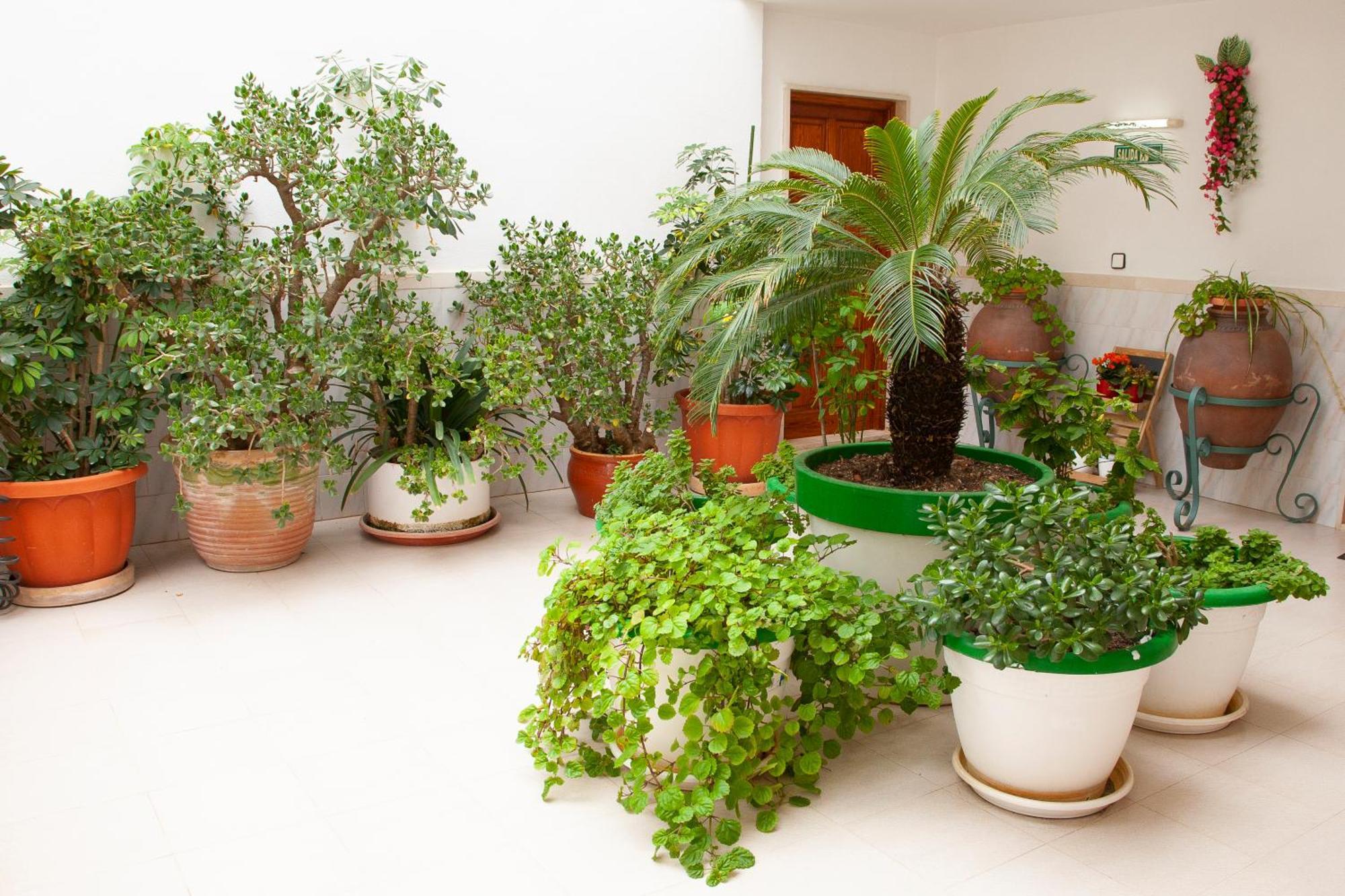 Atalaya Bosque Apartment Peguera