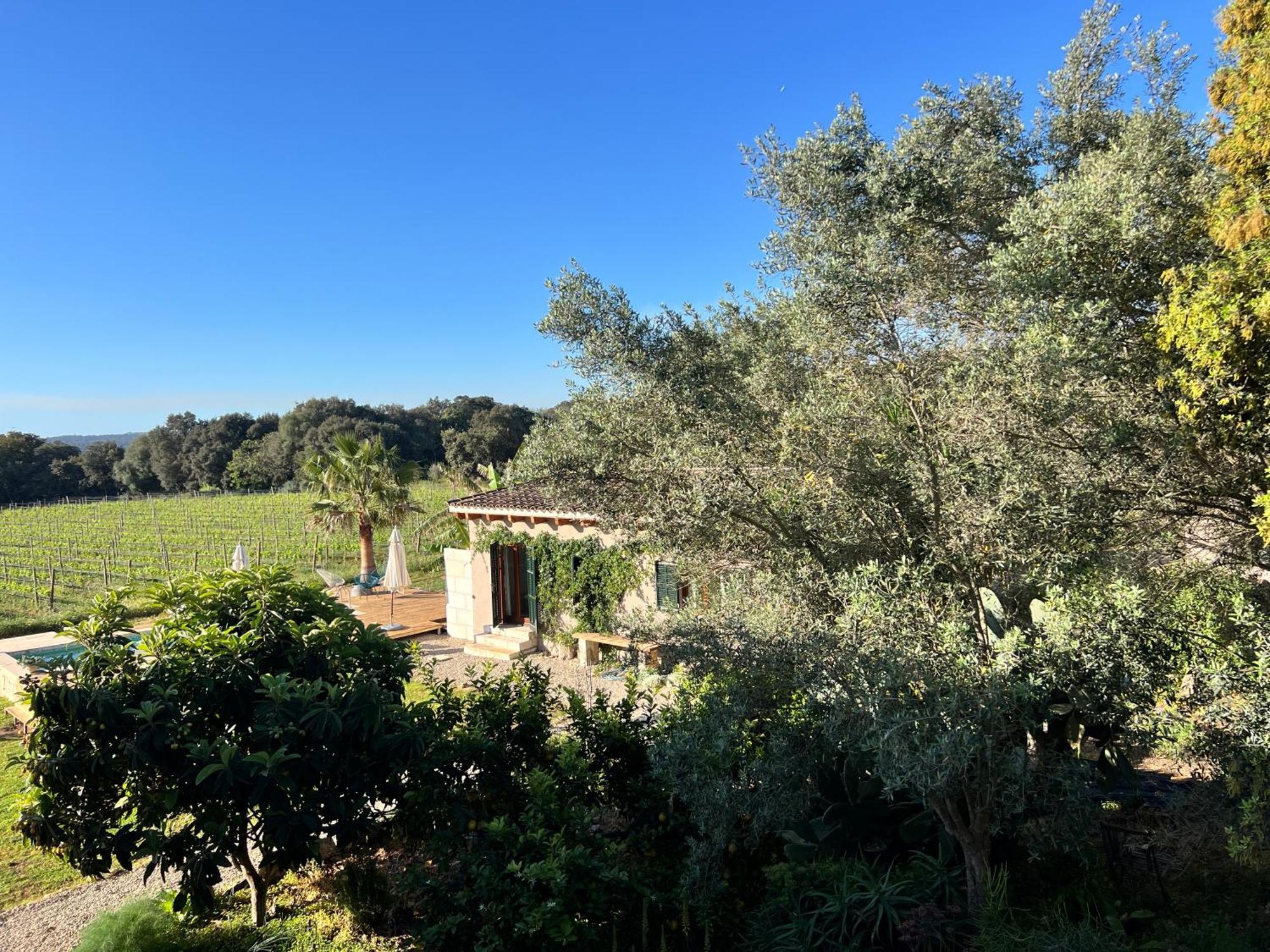 Dos Caballeros Winery & Vacation * Llubi