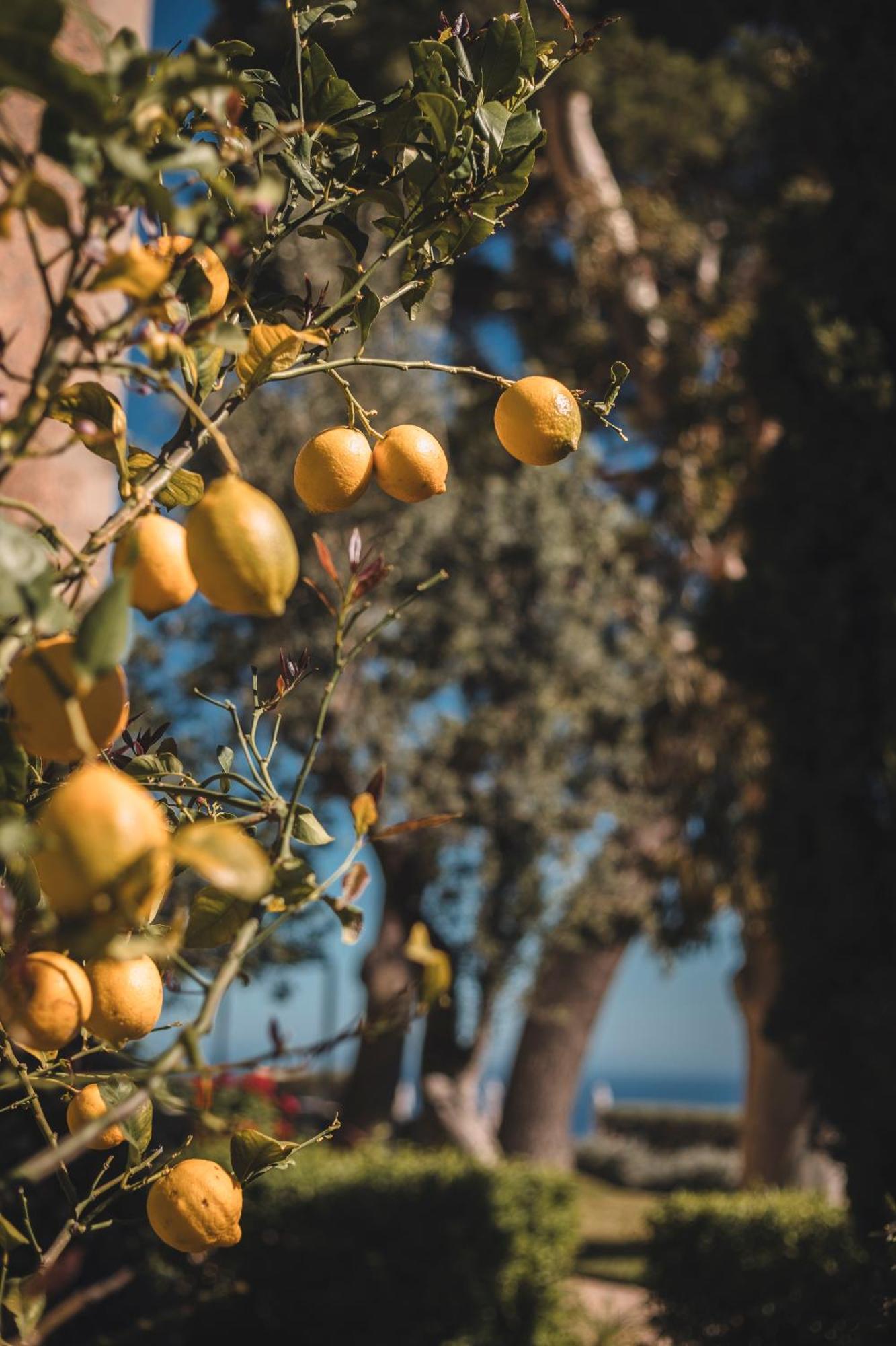 Farm stay Sa Pedrissa *