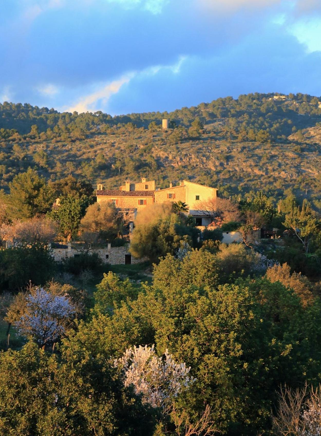Casa rural Son Malero *