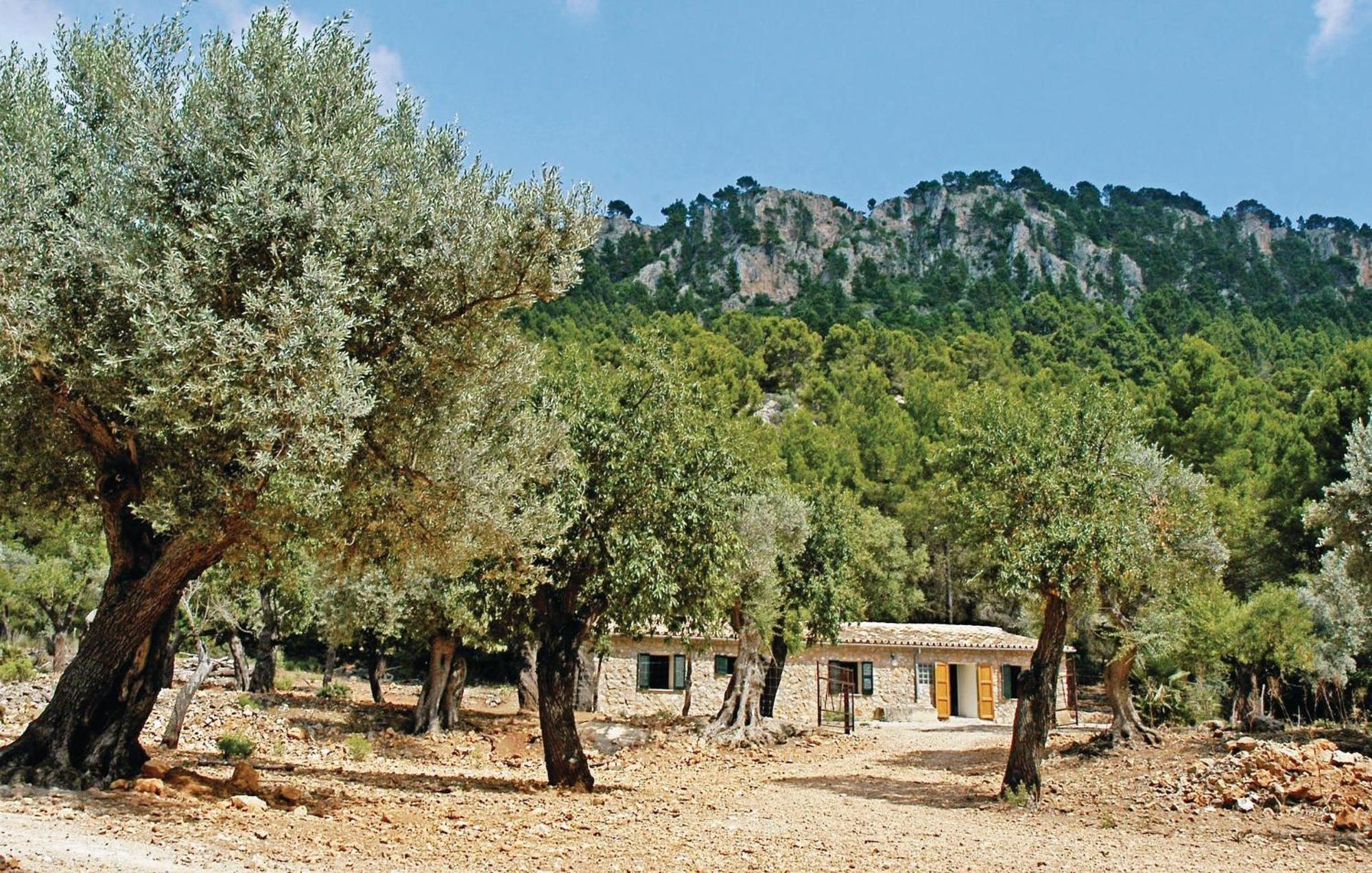 Holiday home Stunning Home In Estellencs With Jacuzzi Estellencs (Mallorca)