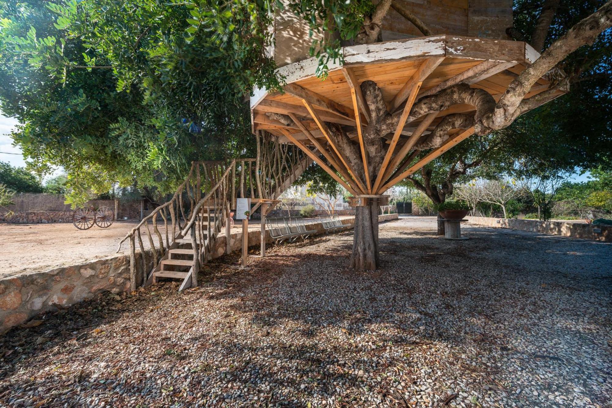 Rosillo Villa Llucmajor (Mallorca)