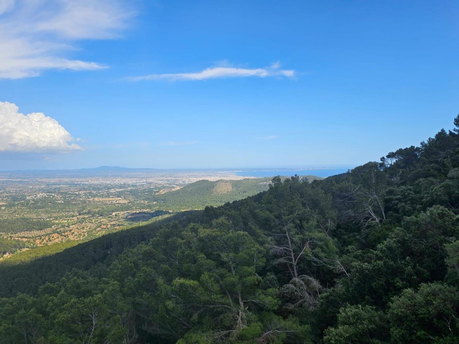 Es Verger Coll De Tords Esporles (Esporlas)