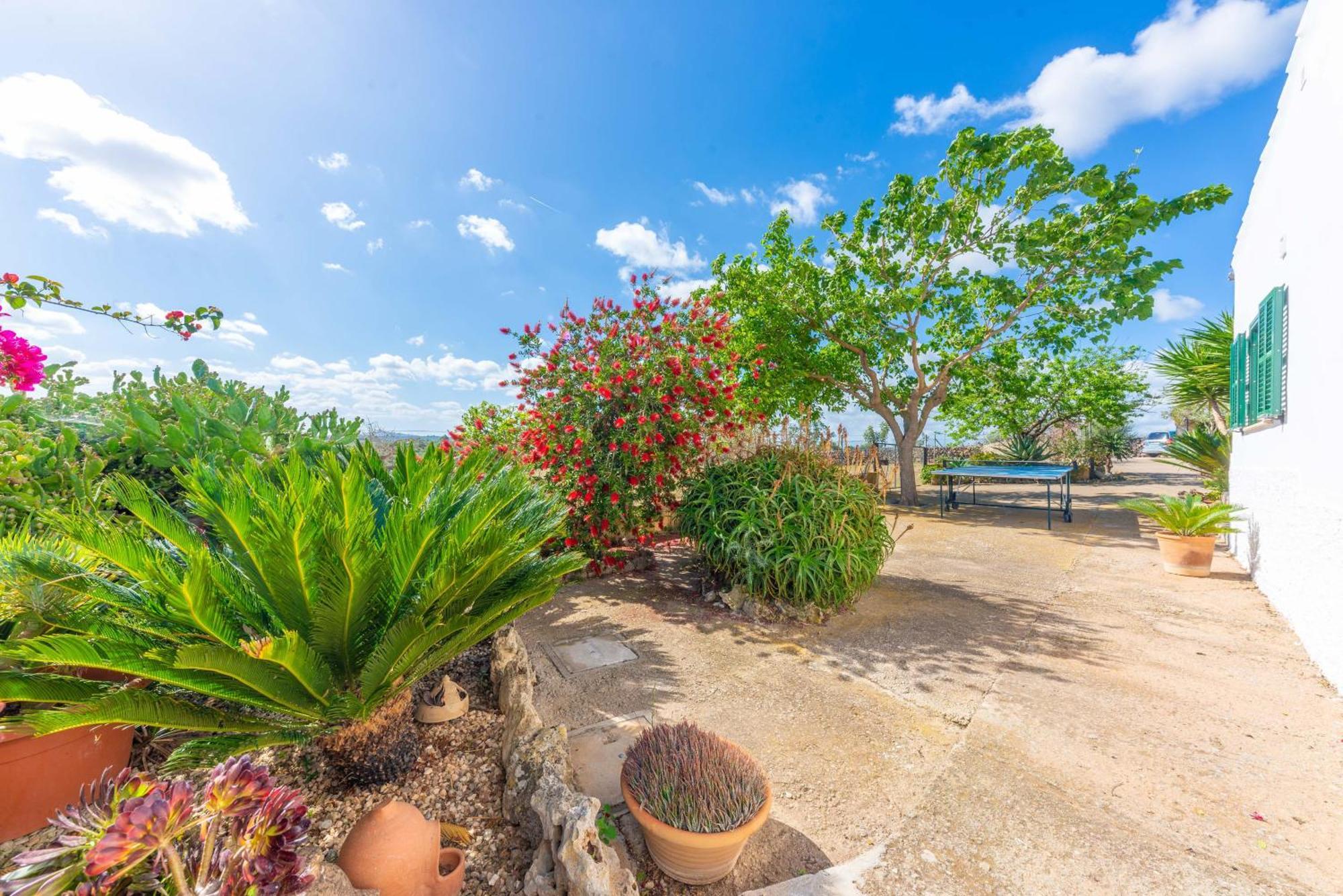 Villa Barranc De Son Fullós Santa Margalida