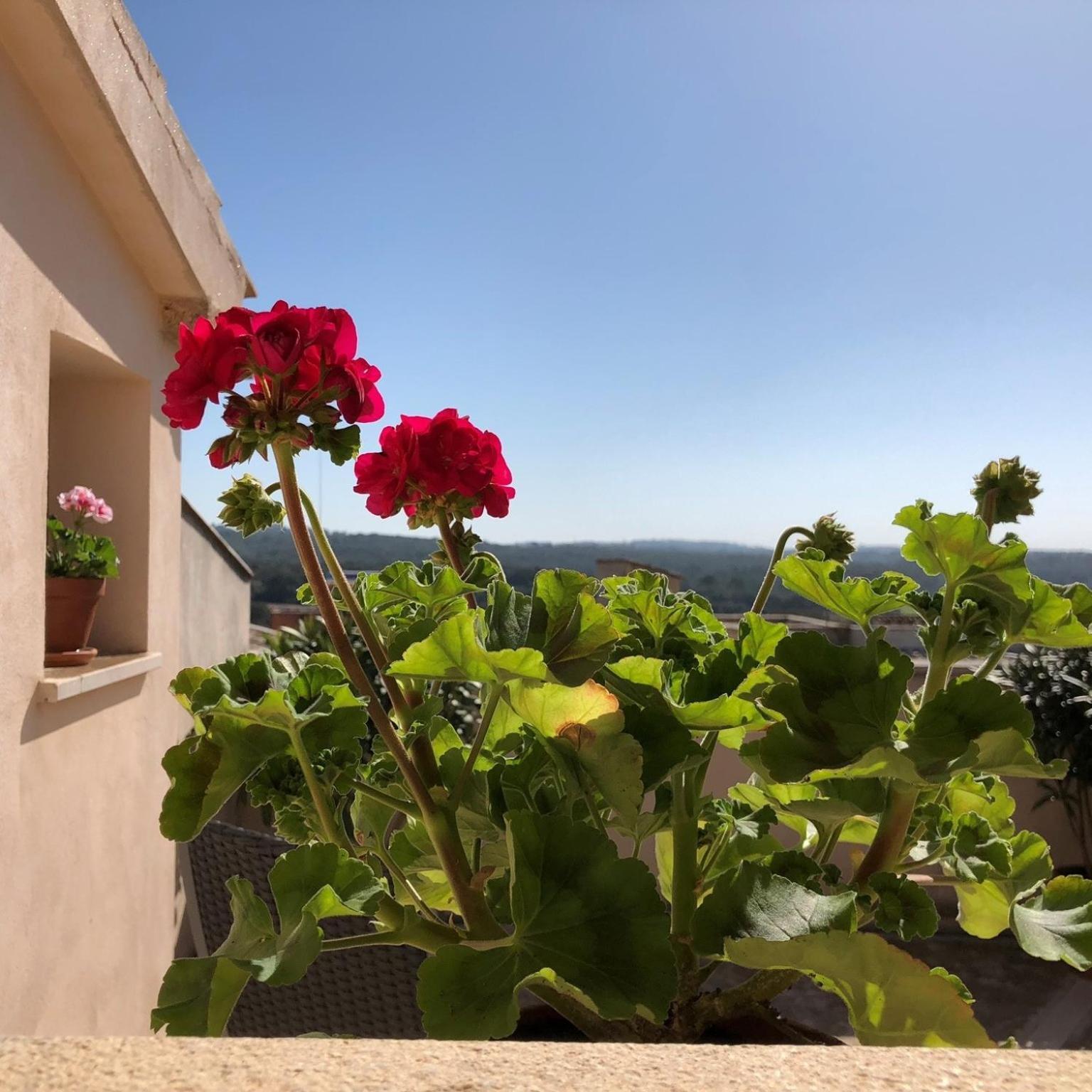 Vista De La - Turismo De Interior. Bed and breakfast