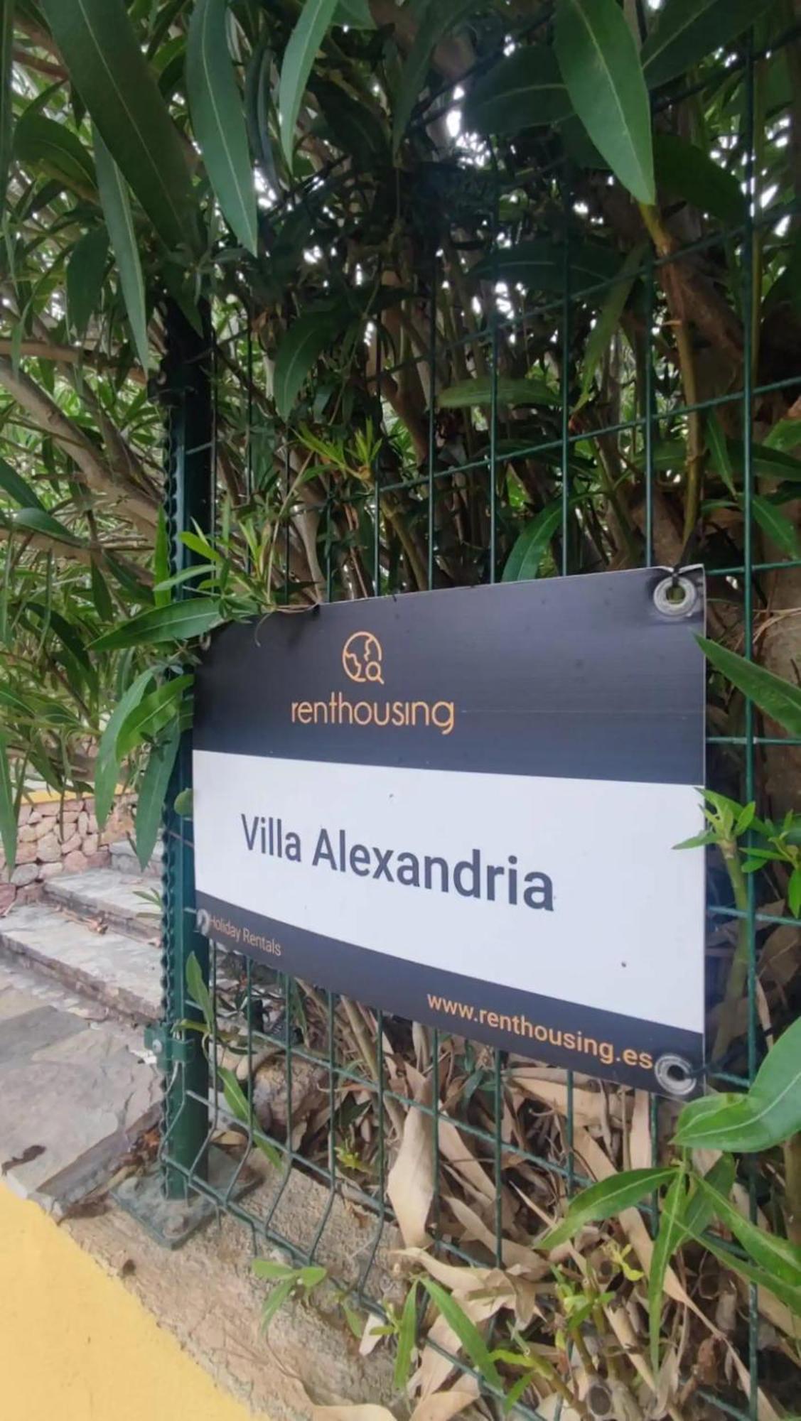 Alexandria Cala San Vicente 300m From The Villa