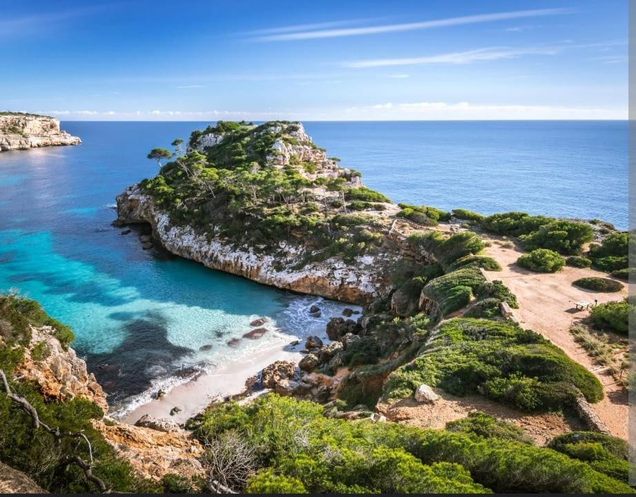 Santiago Mallorca *