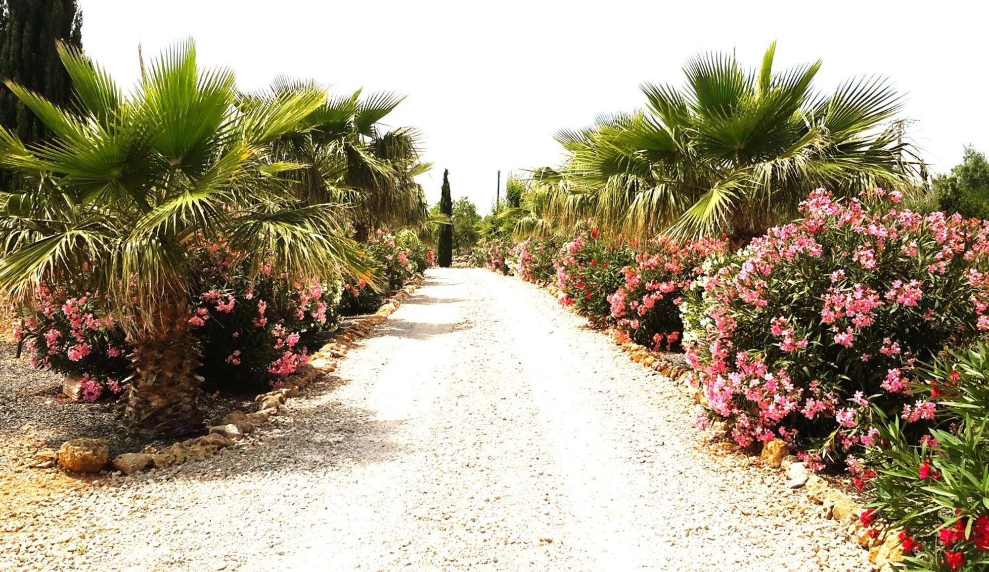 Holiday home Alqueria Fosca *