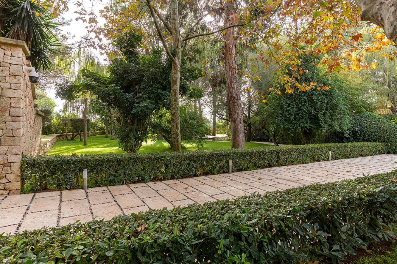 Villa Oasis *