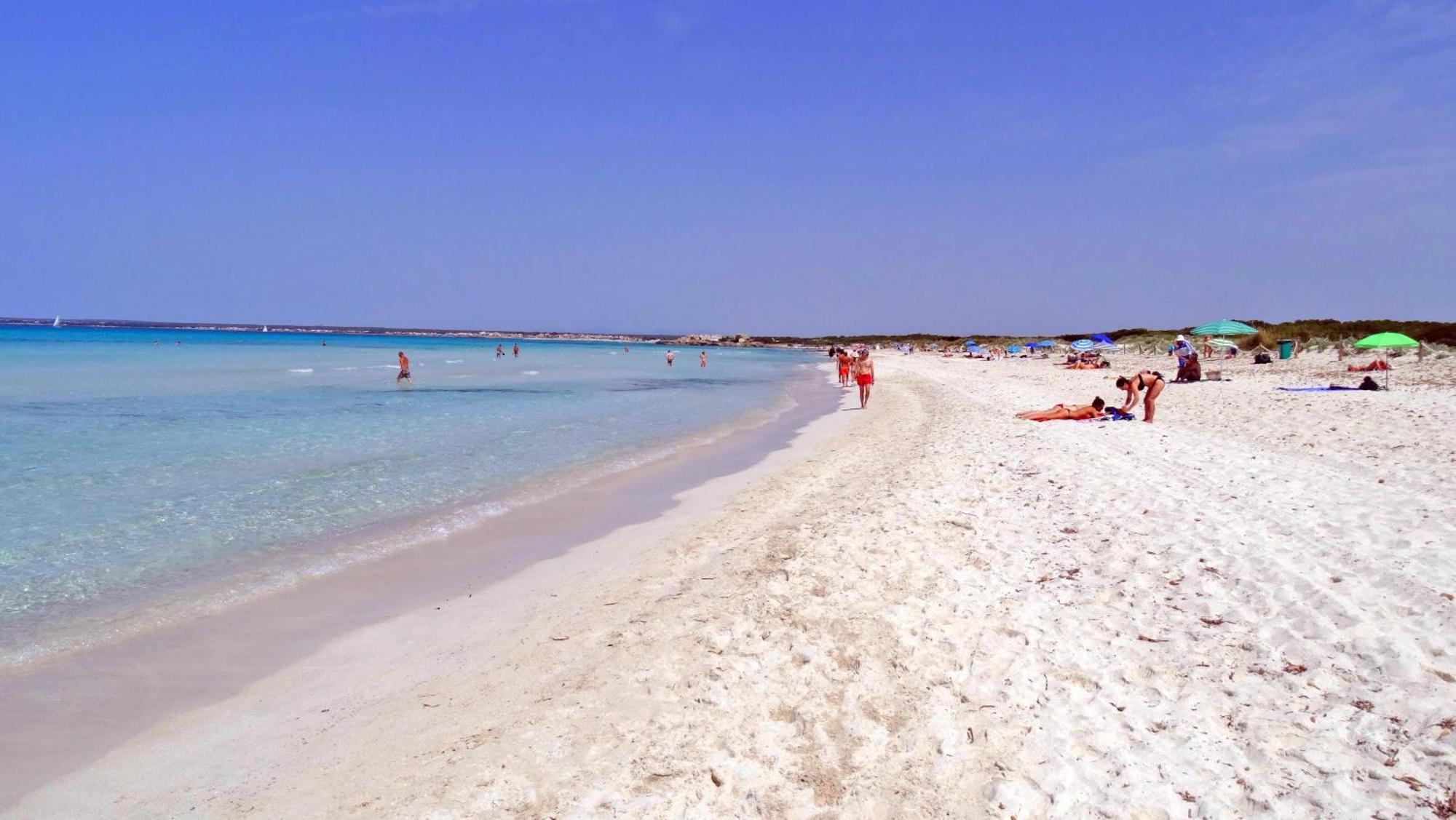 Apartamento Con Piscina En Ses Salinies, Mallorca