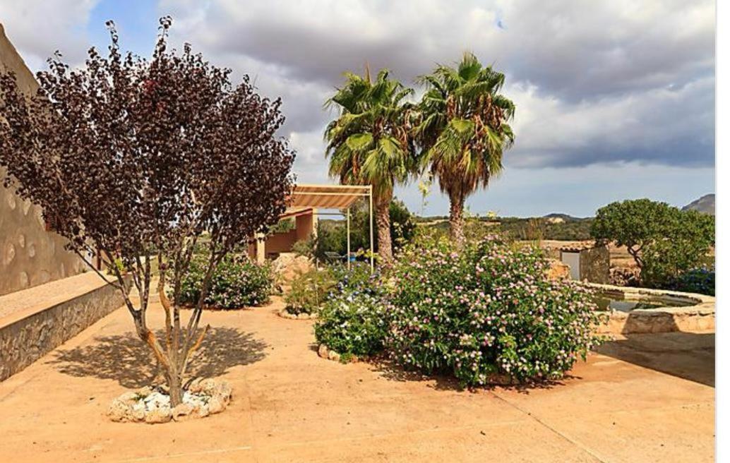 Apartment Son Segarut Manacor (Mallorca)