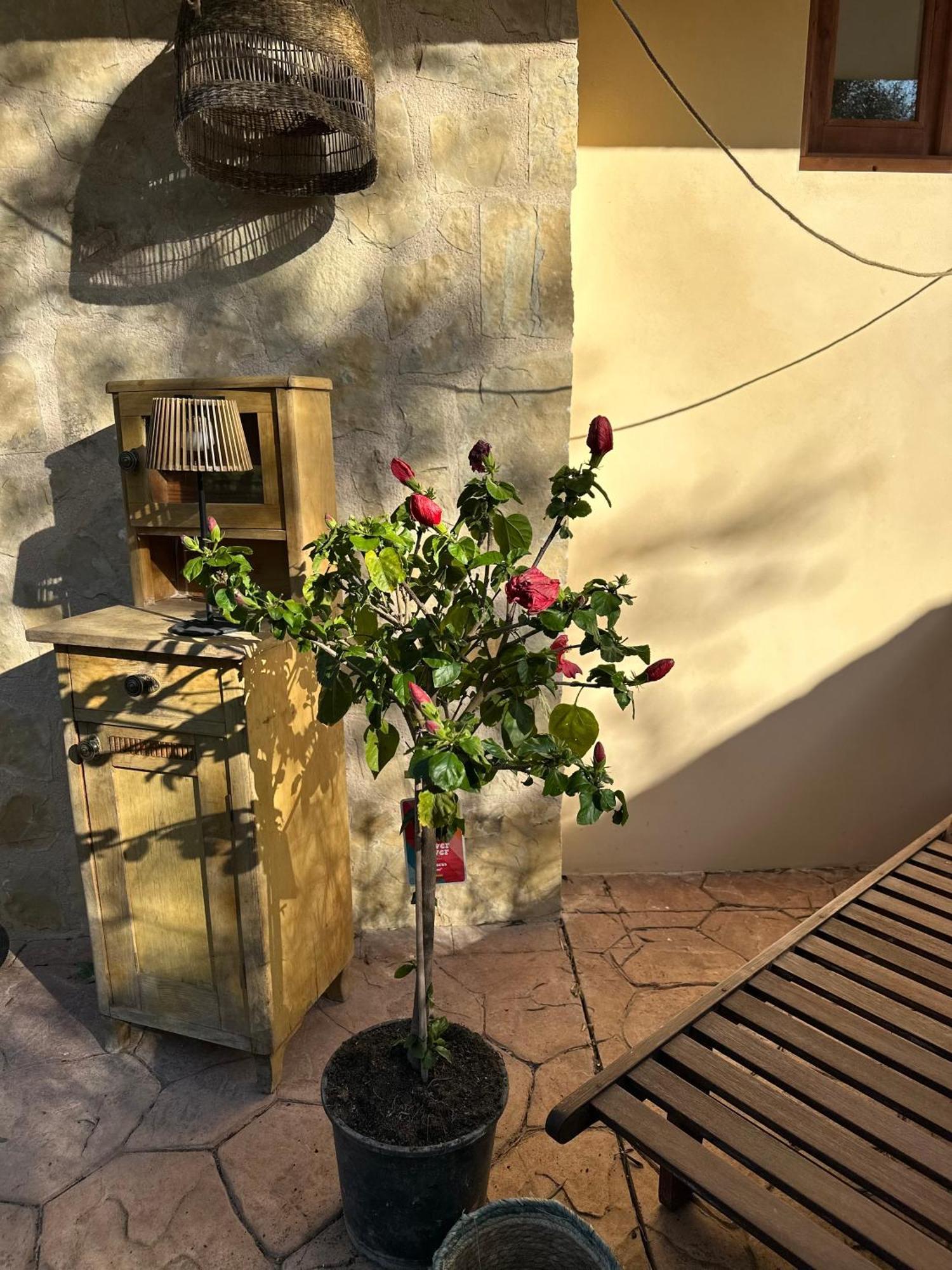 Apartment Casita Balear