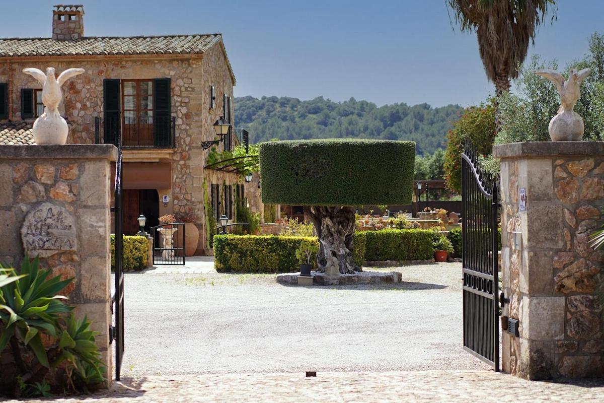 Idyllic Near By Renthousing * Pollensa