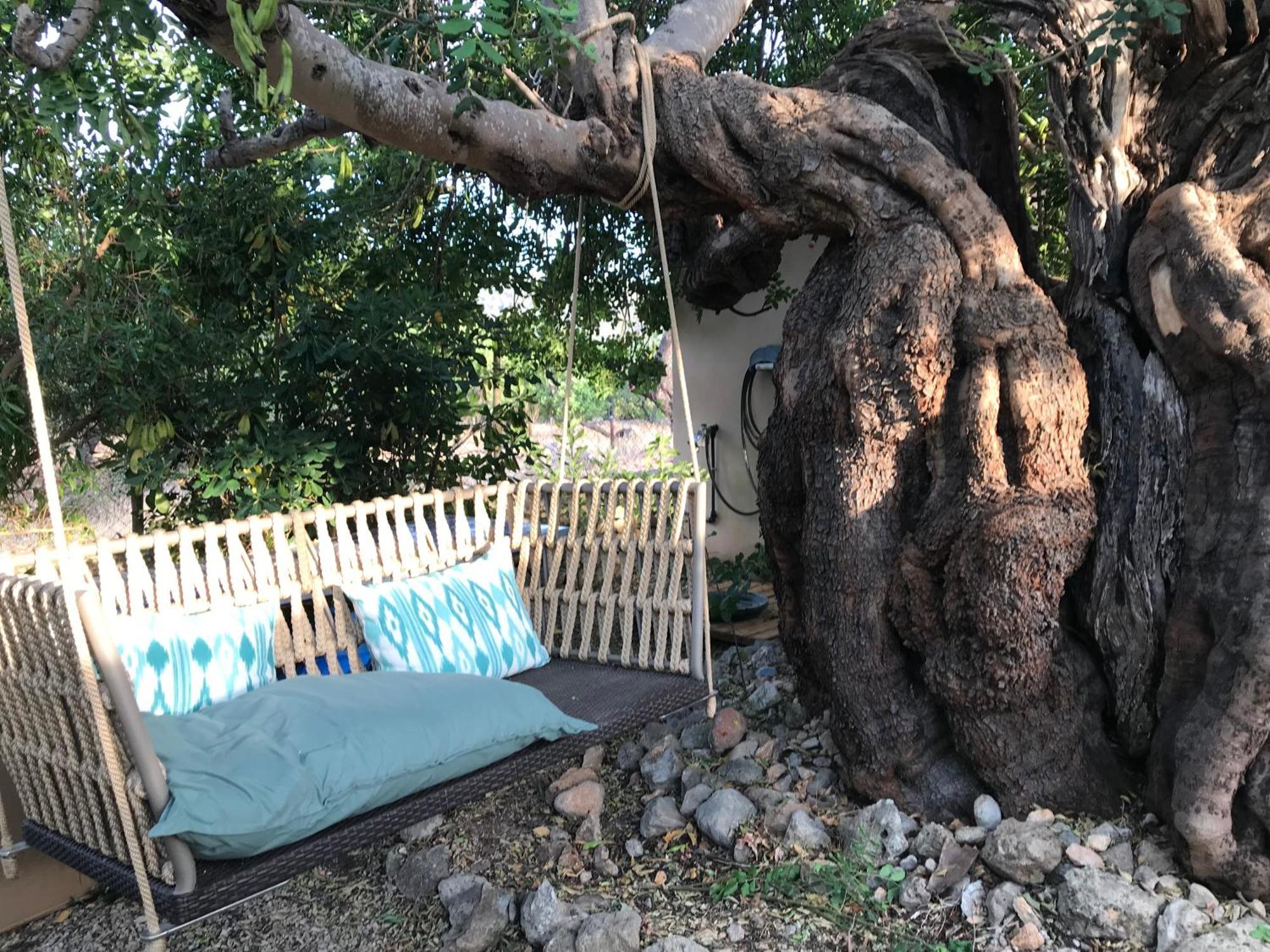 Dream For Nature Lovers In Alaro!