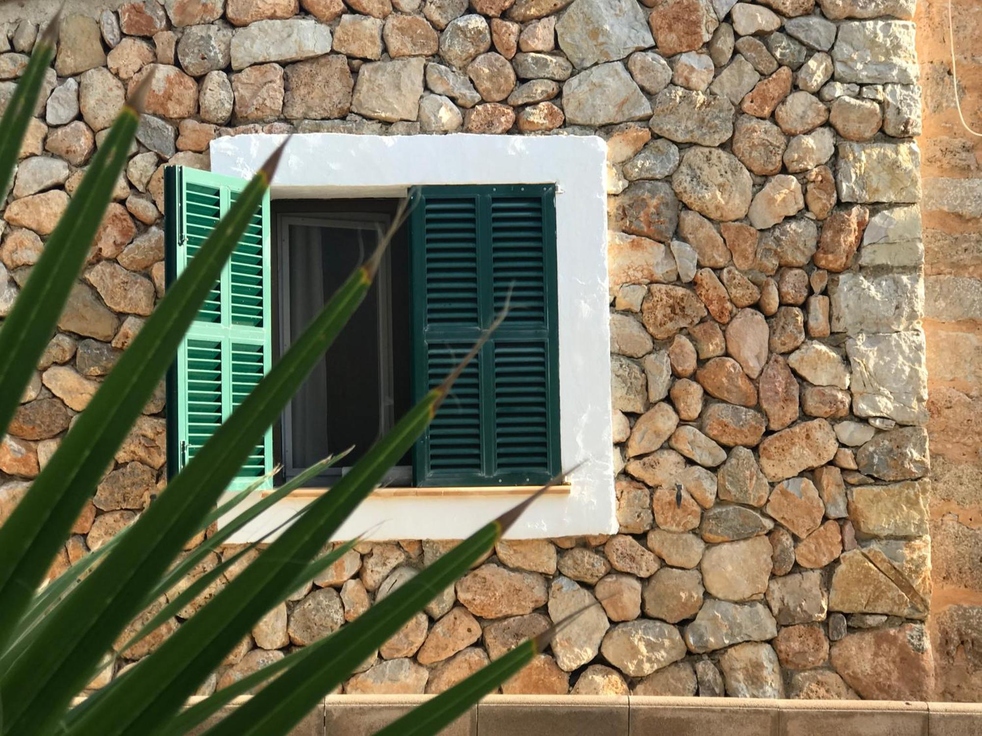 Dream For Nature Lovers In Alaro! Alaro
