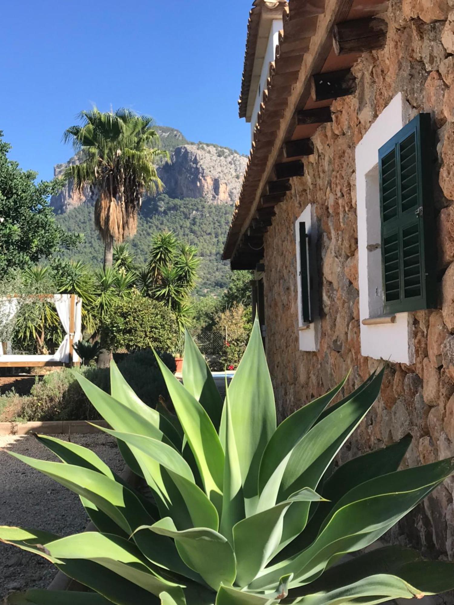 Dream For Nature Lovers In Alaro! Alaro