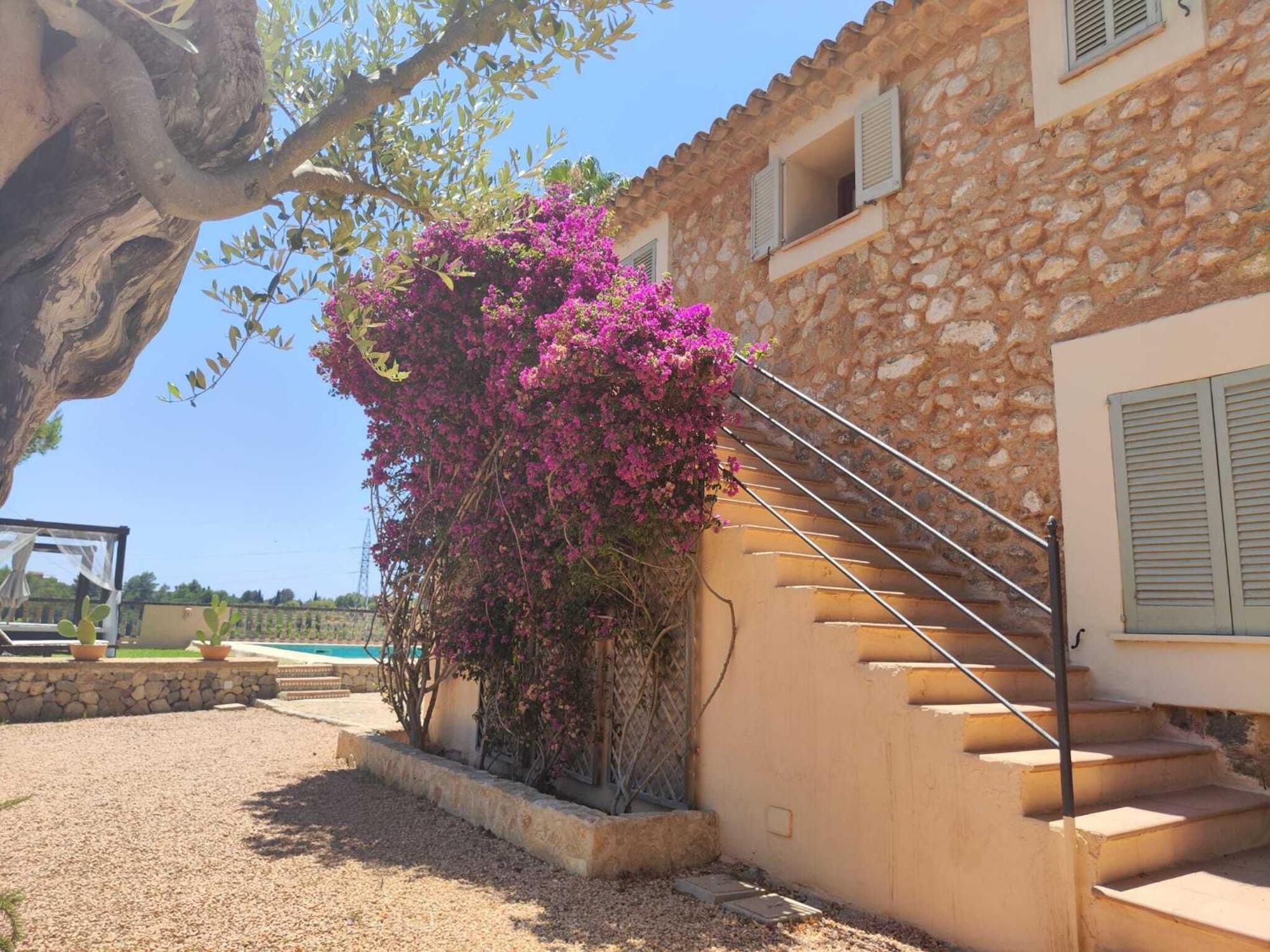 Son Bauzanet Villa Establiments
