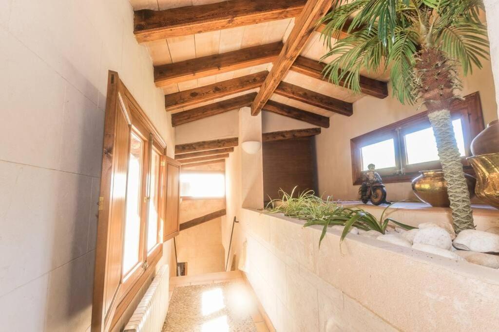 Luxury Son Pinet Villa