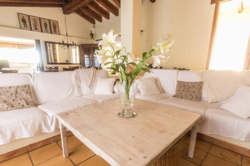 Luxury Son Pinet * Santa Maria del Cami (Mallorca)