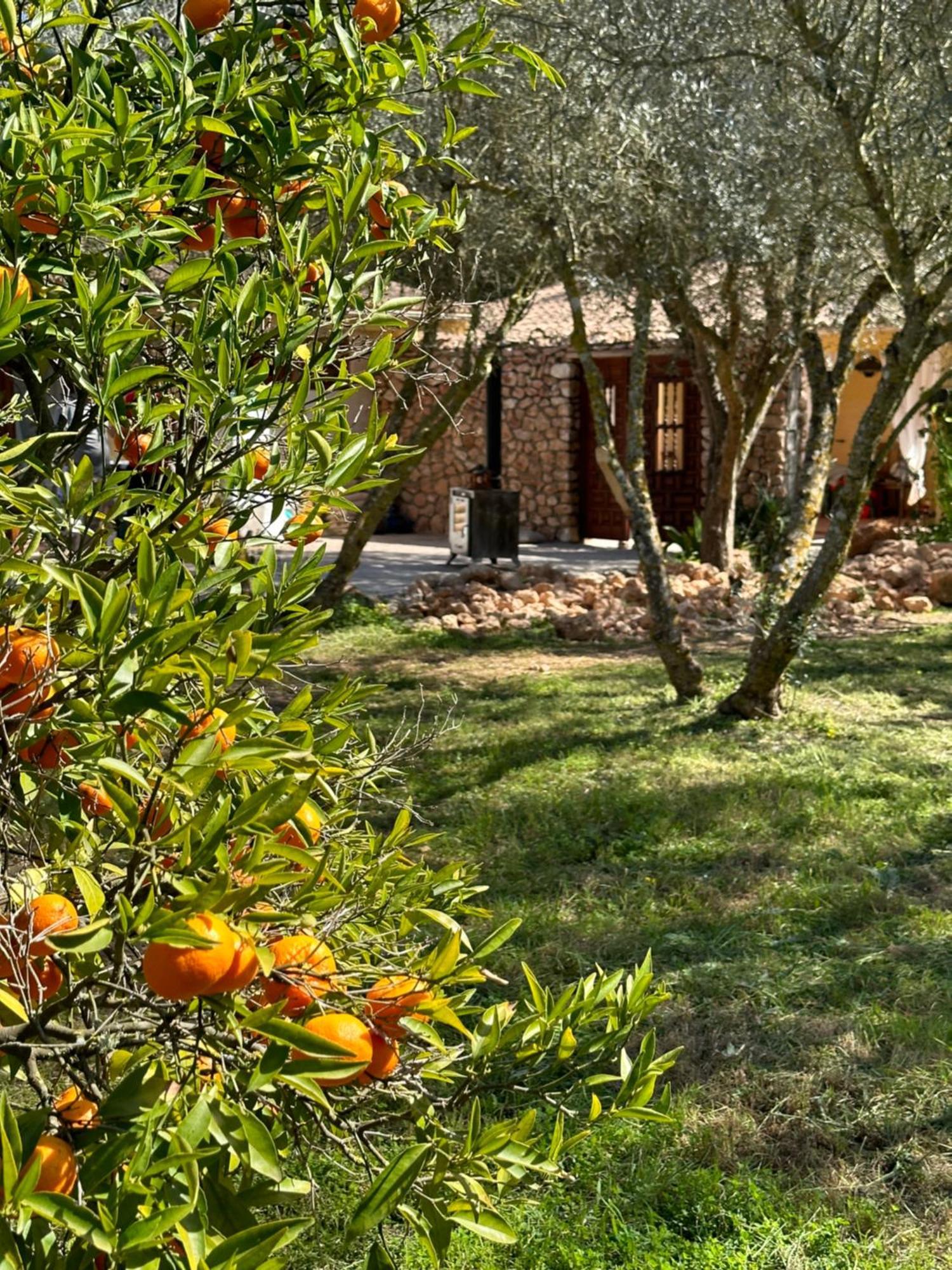Apartment Casita Balear